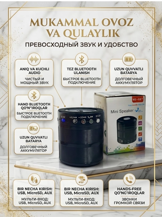 Портативная Bluetooth колонка WS-887, мини динамик с FM радио и USB/TF слотом - 