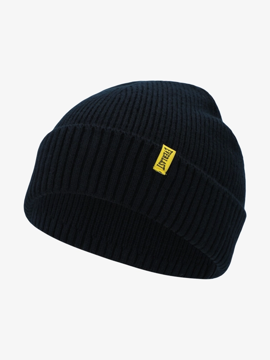 Шапка Everlast Wagner hard - 