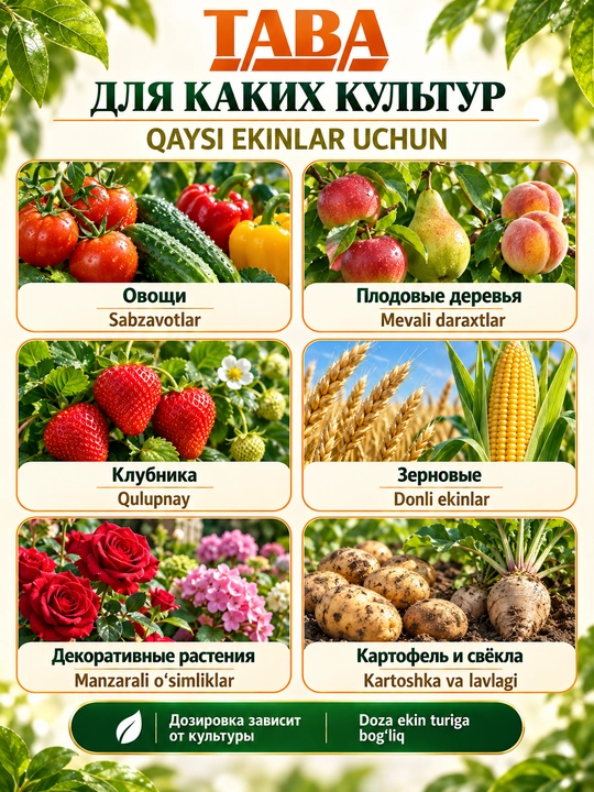 TABA Bioglobal — temir, marganes va ruxli suyuq mikroo‘g‘it, 1 l