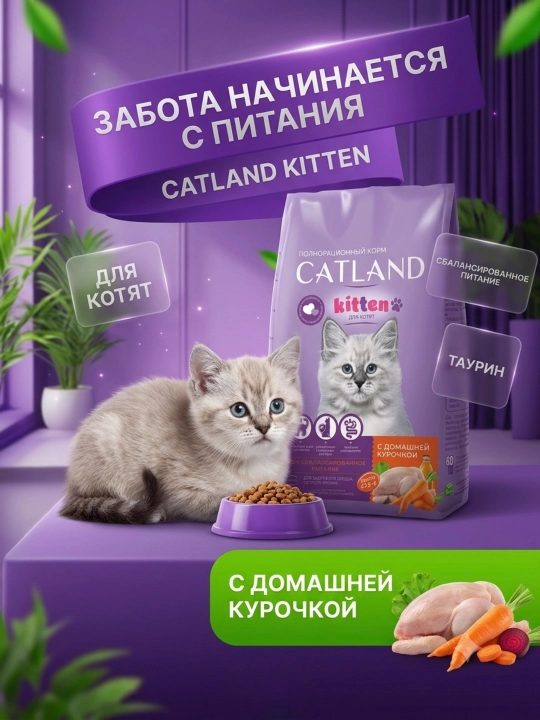 Сухой корм CATLAND Kitten с домашней курицей: 100% польза и здоровый рост котят