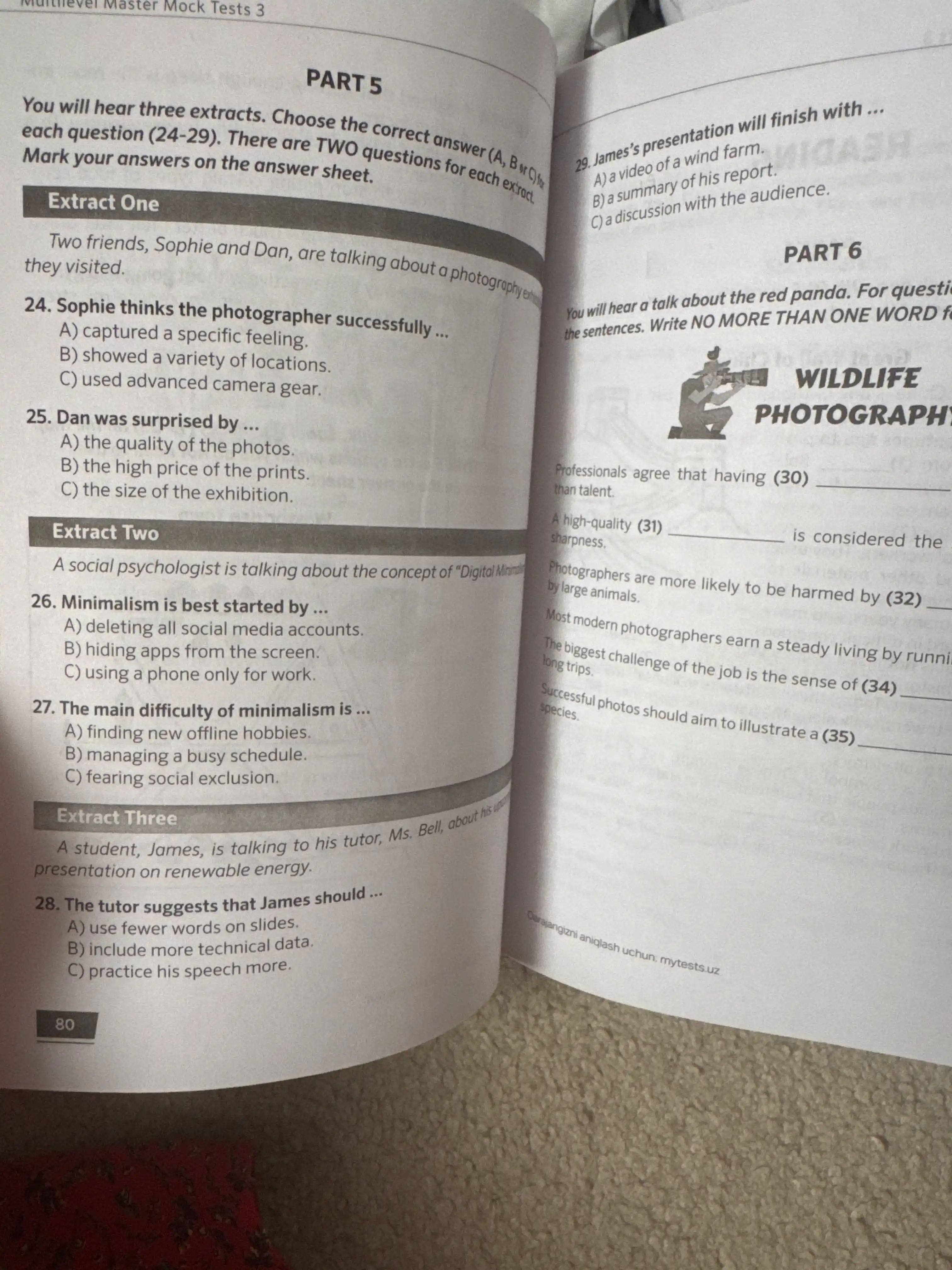 Multilevel master mock tests