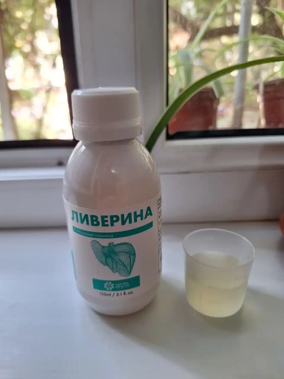 Ливерина для печени- источник тиамина Витамин В1