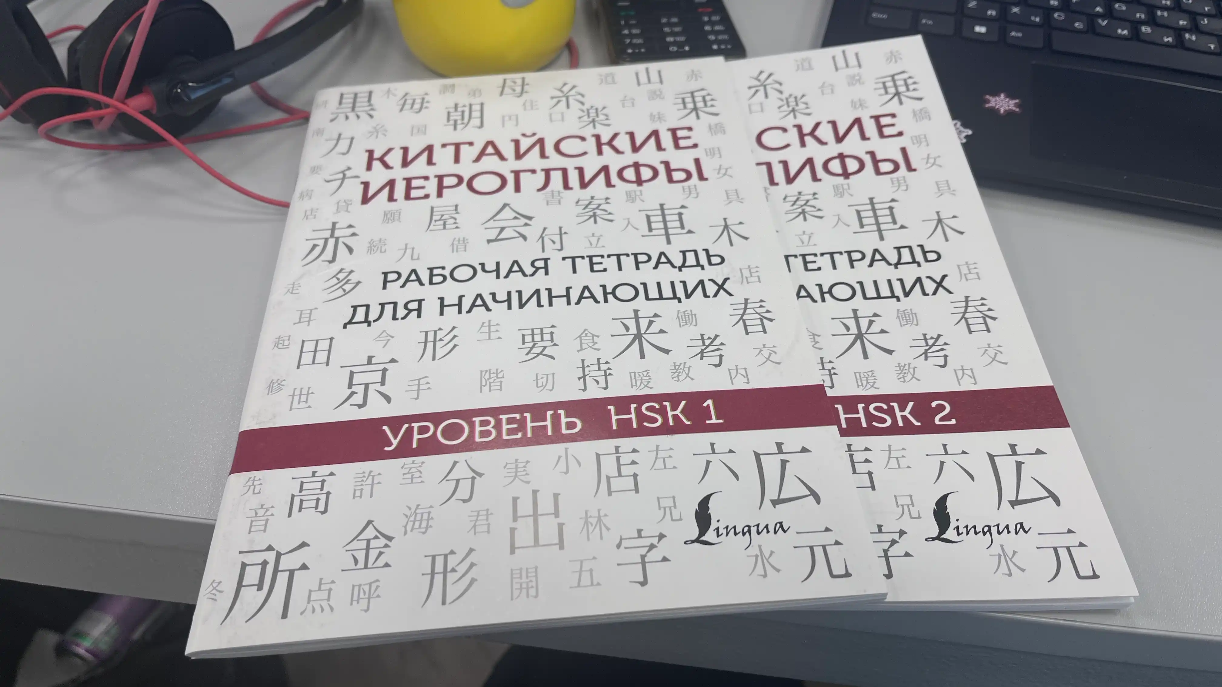 Китайские иероглифы, рабочая тетрадь для начинающих, уровни HSK 1-2, 3-4
