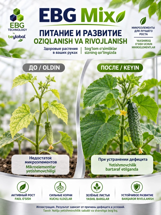EBG Mix — водорастворимое микроудобрение для подкормки растений, 1 кг