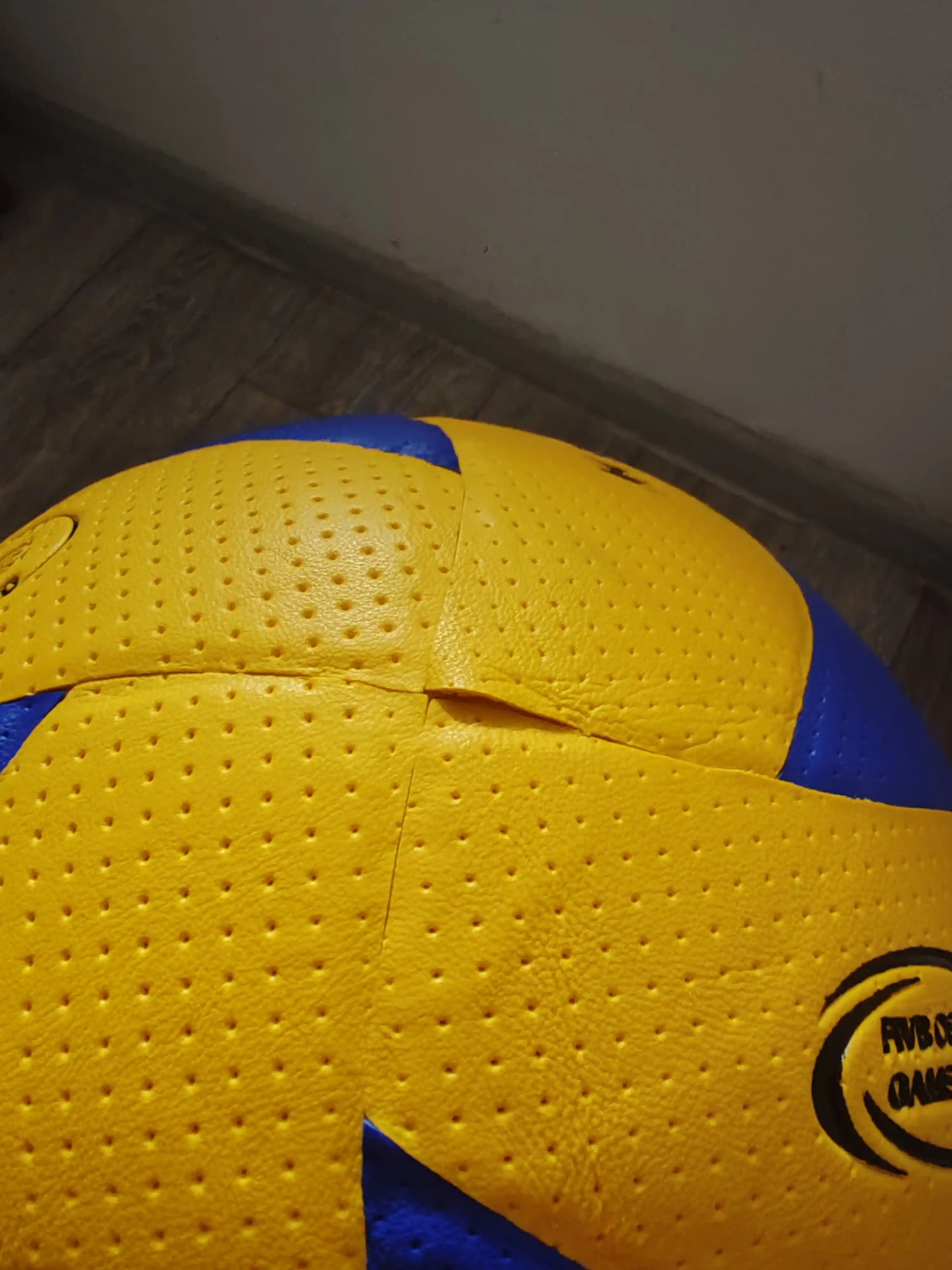 Voleybol to'pi V200 Nasos va Igna bilan