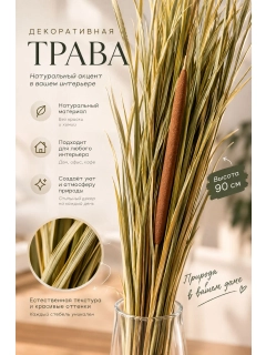 Золотистый хаки