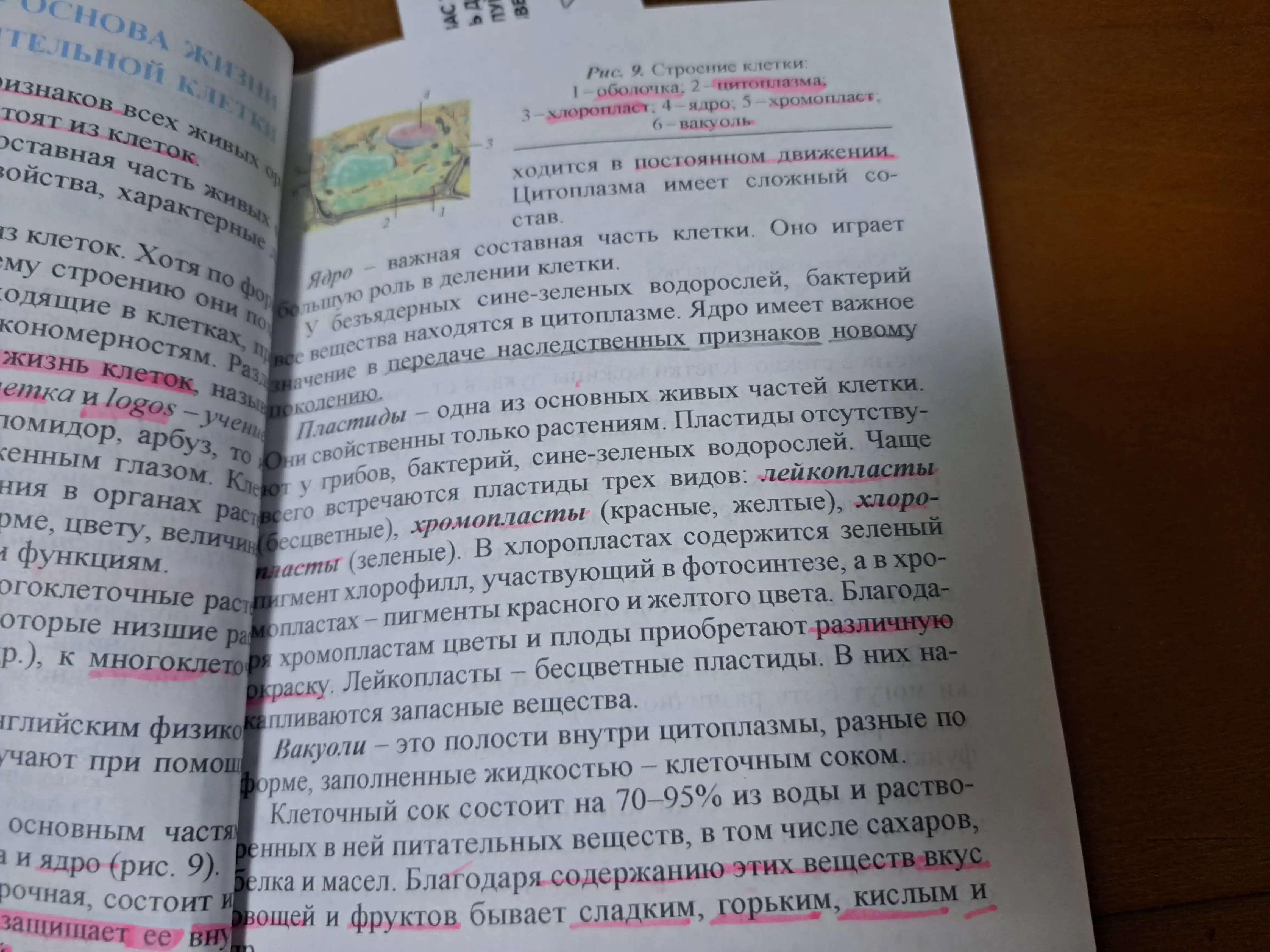 Биология (Ботаника), 6 класс, Учебник для общеобразовательных школ (На русском языке)