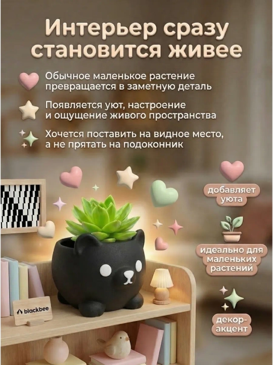Kaktuslar va sukkulentlar uchun gul idishi