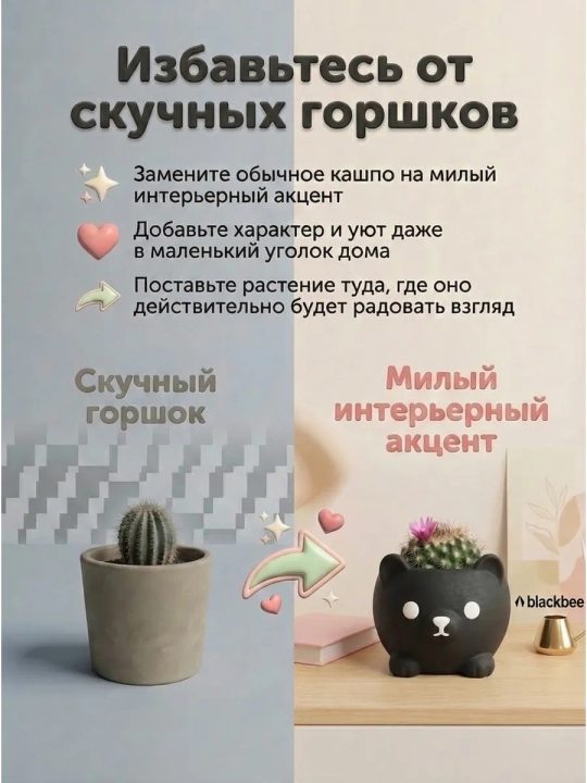 Kaktuslar va sukkulentlar uchun gul idishi
