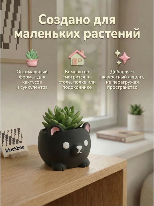 Kaktuslar va sukkulentlar uchun gul idishi