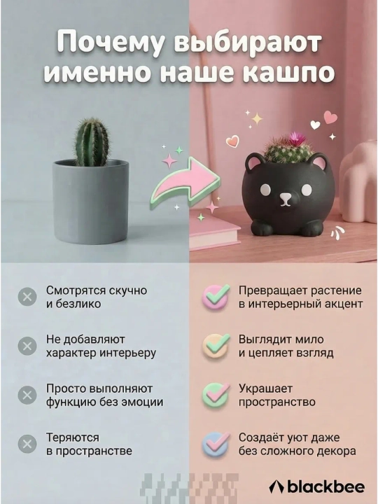 Kaktuslar va sukkulentlar uchun gul idishi