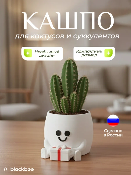 Горшок для цветов кактусов и суккулентов - 