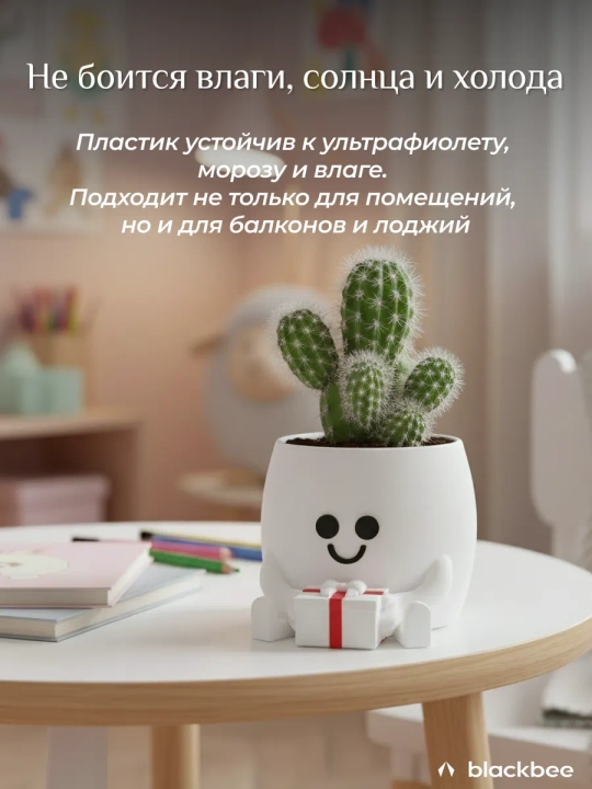 Горшок для цветов кактусов и суккулентов