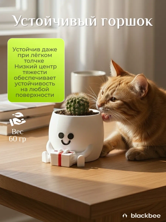 Горшок для цветов кактусов и суккулентов
