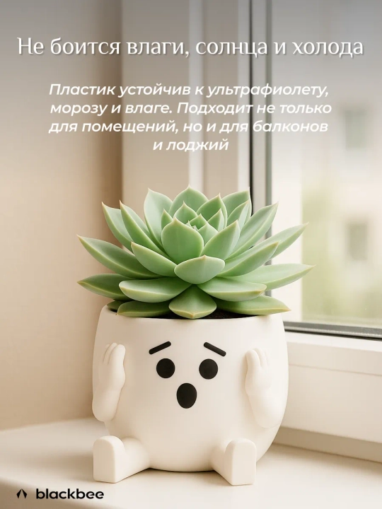 Набор горшков для цветов кактусов и суккулентов