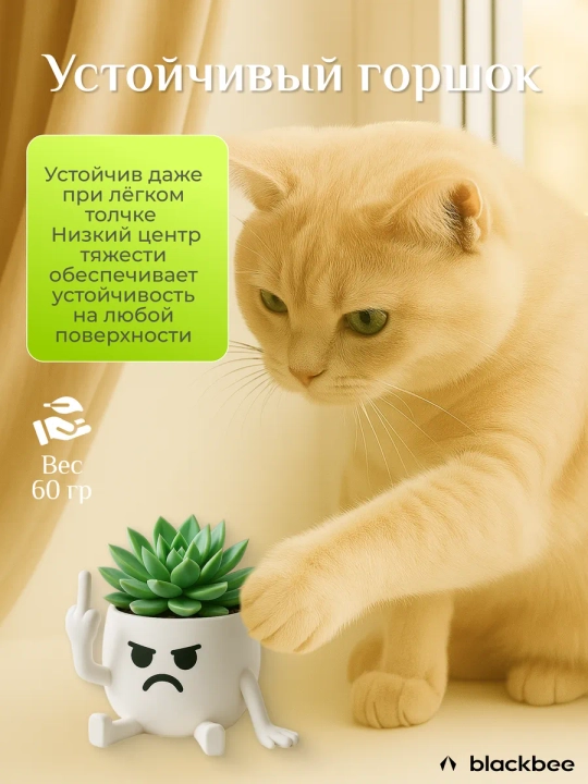 Набор горшков для цветов кактусов и суккулентов