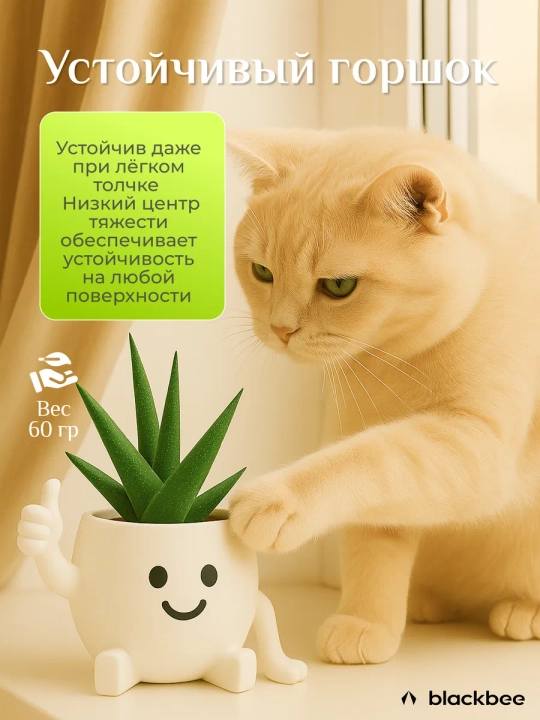 Горшок для цветов кактусов и суккулентов