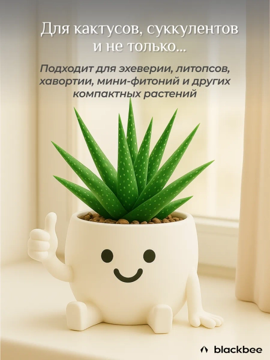 Горшок для цветов кактусов и суккулентов