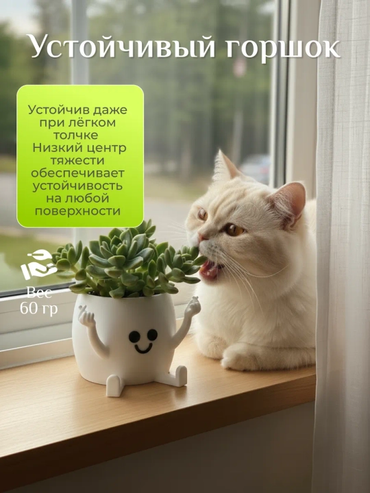Kaktuslar va sukkulentlar uchun gul idishi