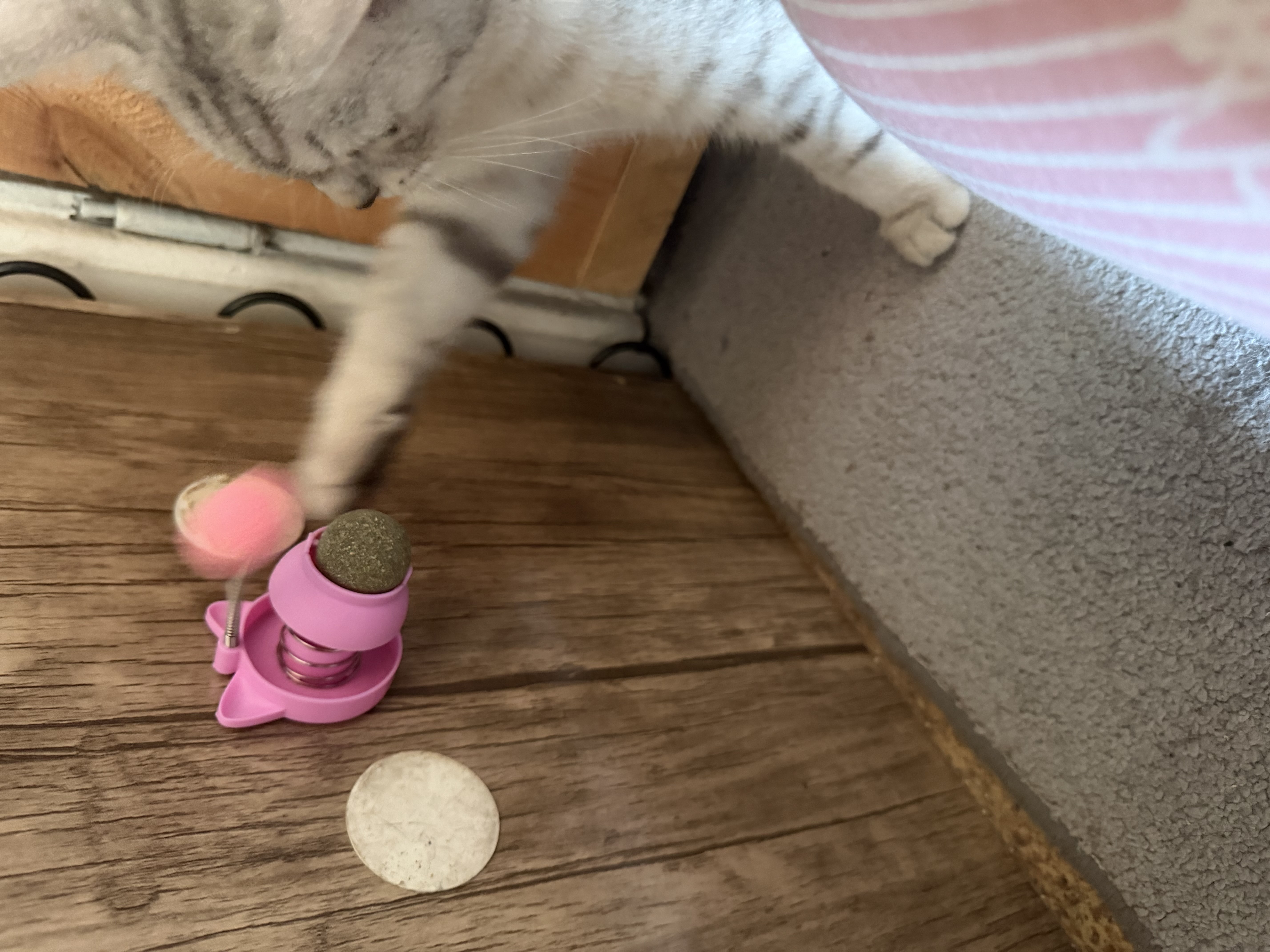 Игрушка для кошек с кошачьей мятой, интерактивная дразнилка помпон, мятный шарик на стену