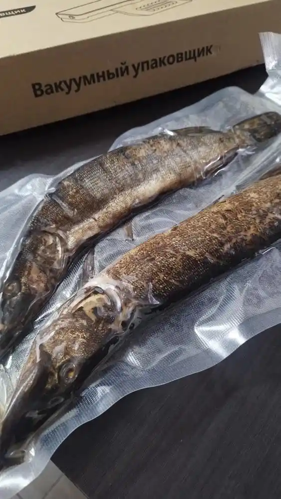 Вакуумный упаковщик для продуктов, вакууматор + 50 пакетов 20×25 см