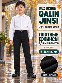 Koʻmir rang