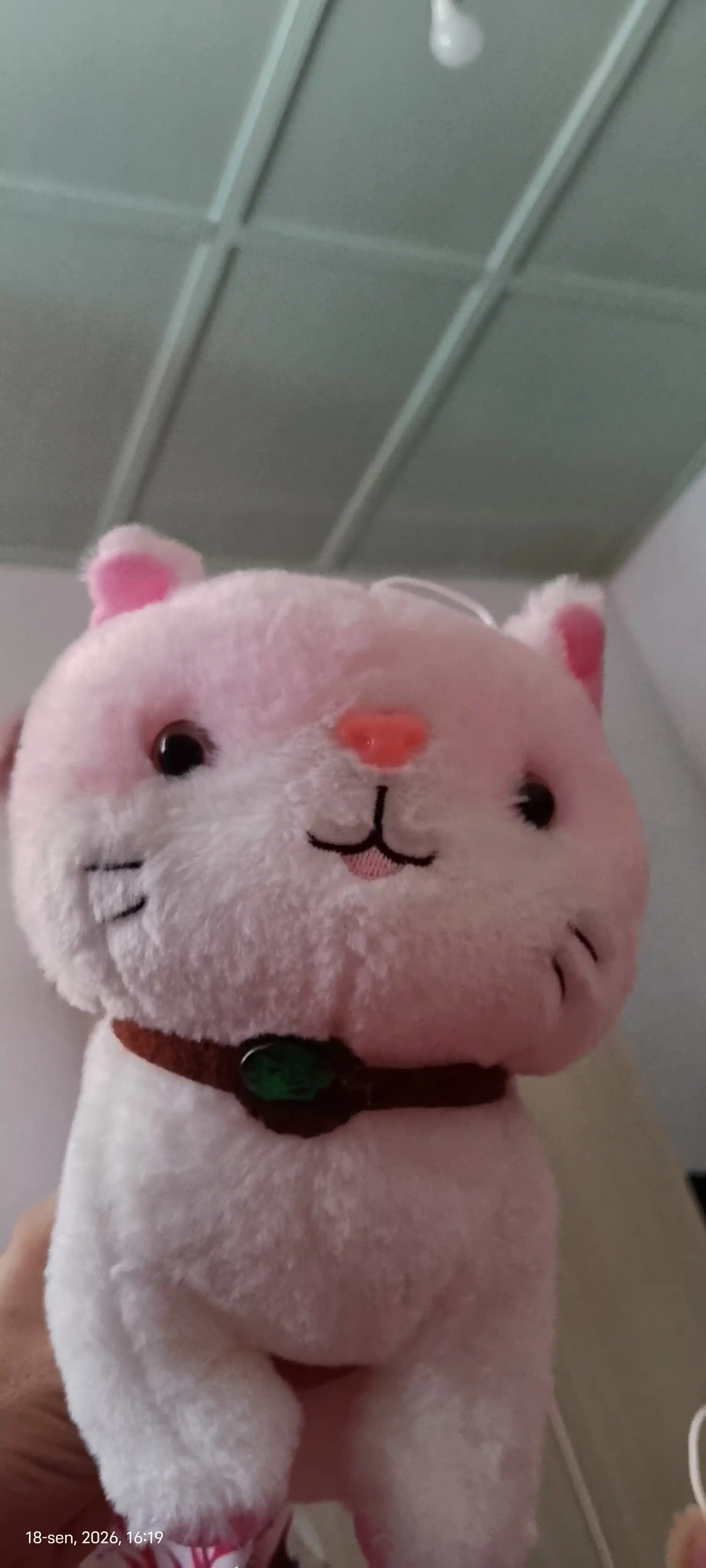 Мягкая игрушка кошка Страйп, 25 см, с декоративным ошейником