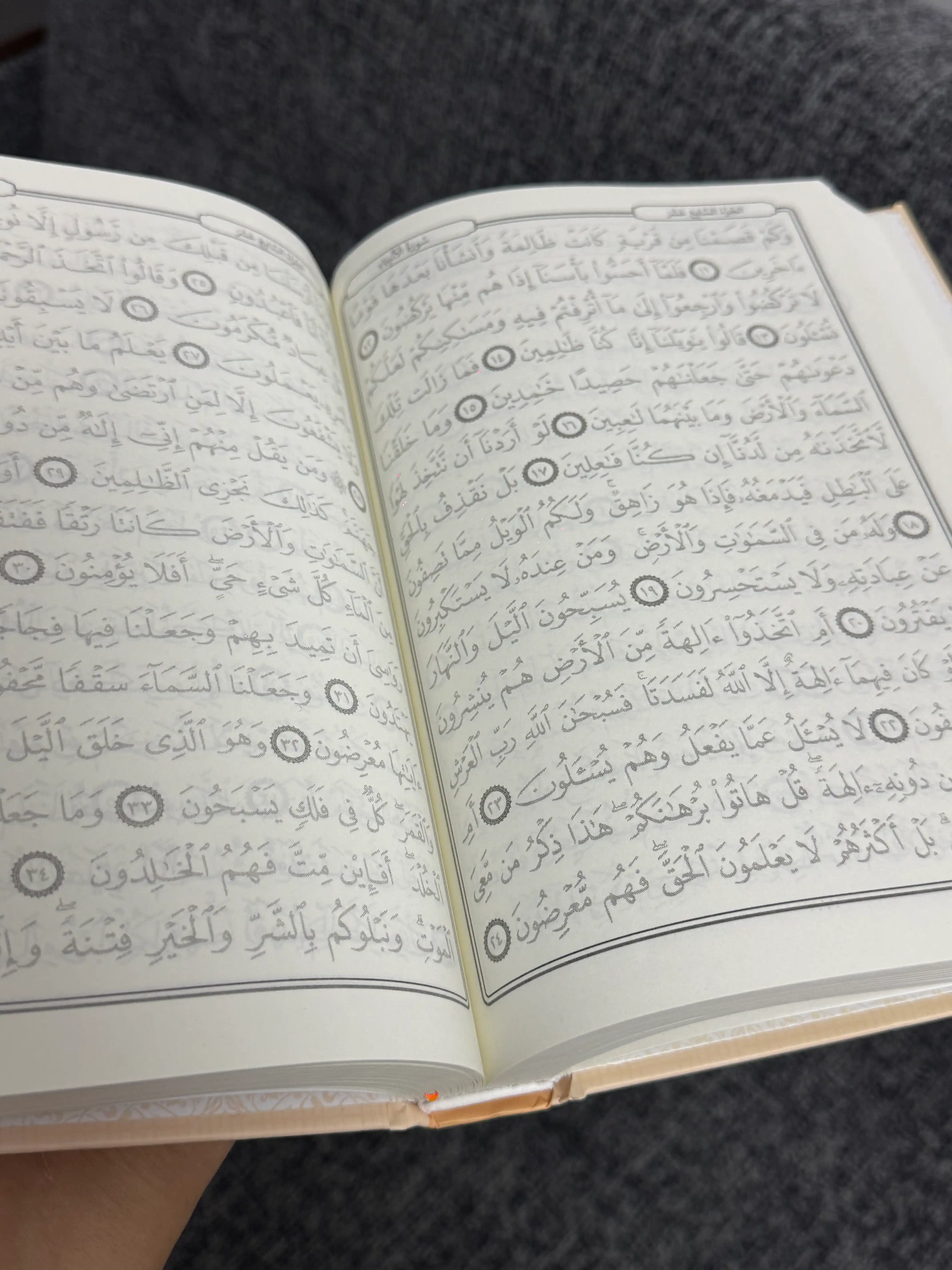 Husnixatli Qur’oni Karim, Munir nashriyoti, soyali Quron