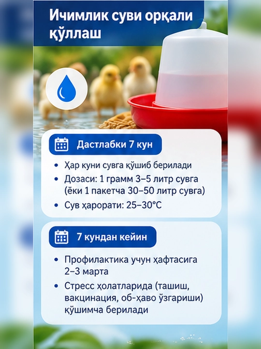 FLORABALANS — tovuq va jo‘jalar uchun ichak mikroflorasi va hazm uchun kukun, 500 g