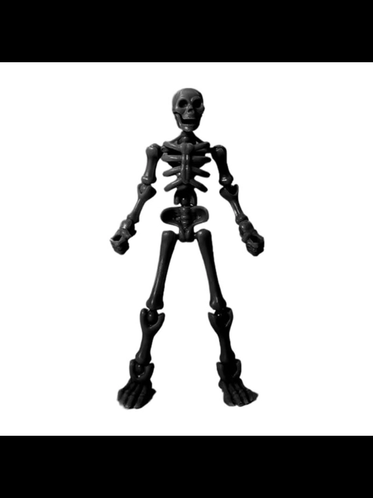 Bolalar uchun harakatlanuvchi skelet o‘yinchog‘i, anatomik 3D model, harakatchan bo‘g‘imlar
