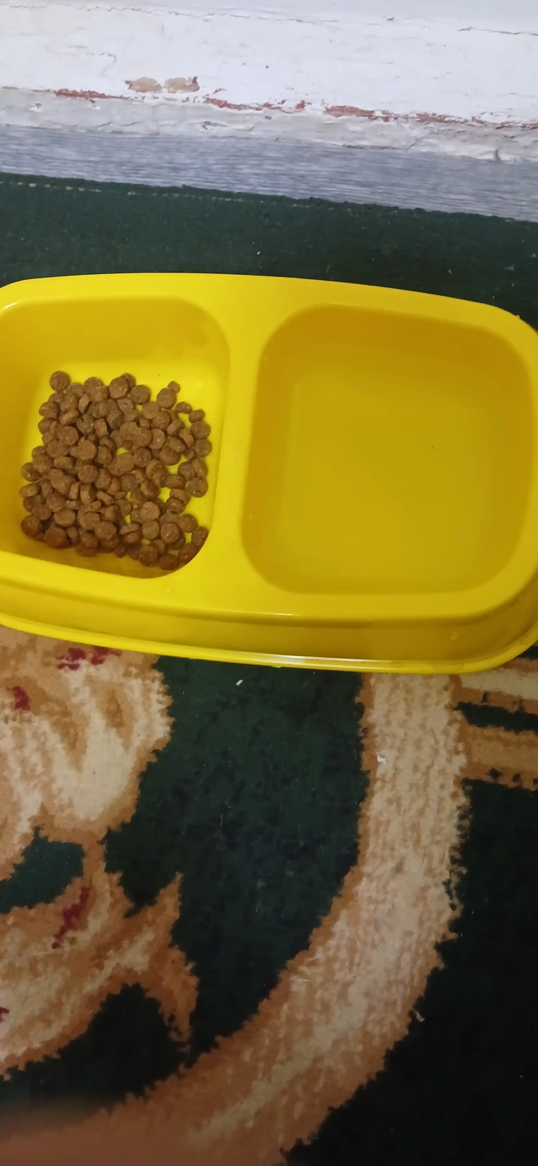 Mushuk va itlar uchun katta ikkitalik ovqat idishi, miska, 27 x 16.5 x 6.5 sm