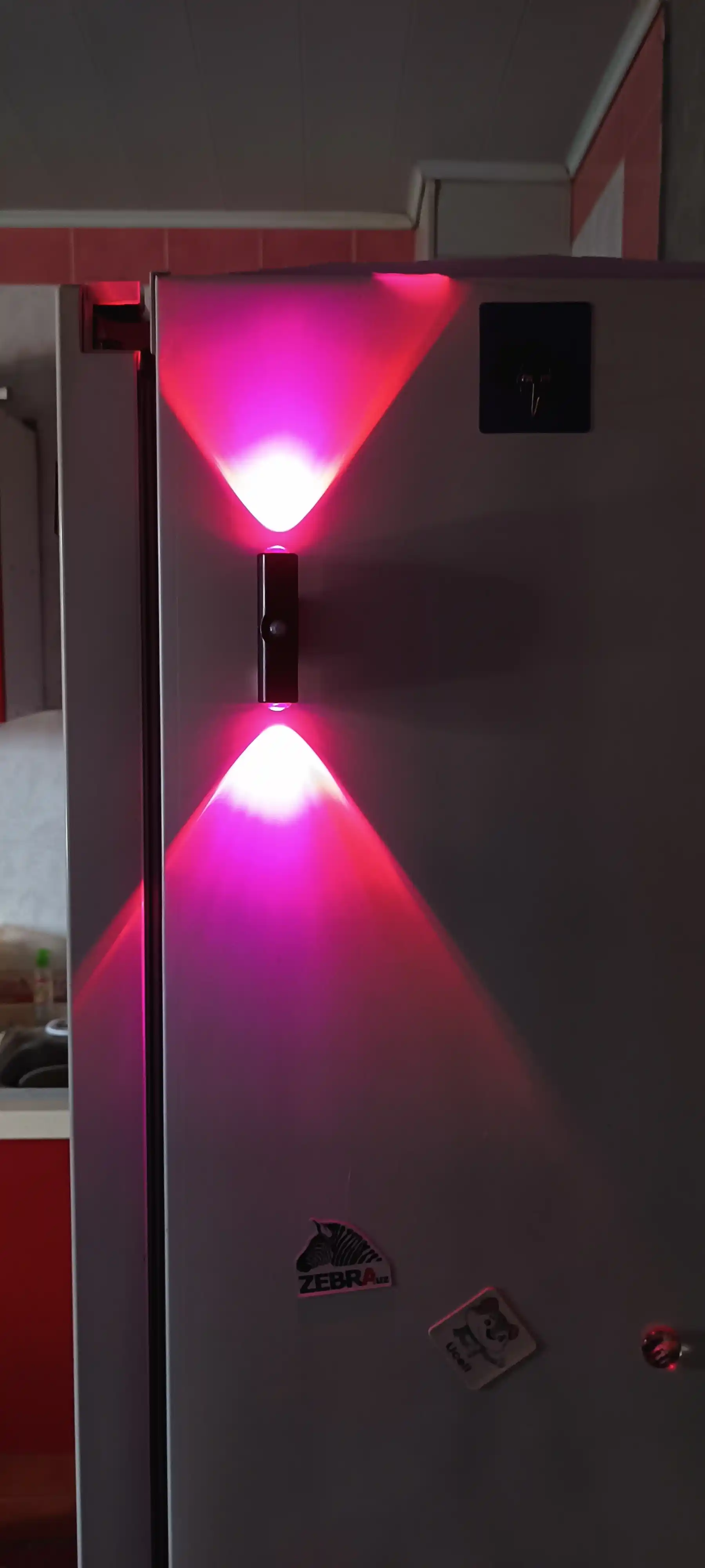 Harakat sensoriga ega aqlli tungi yoritgich: RGB va ikki rangli, simsiz