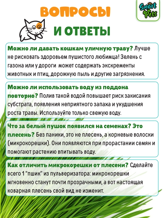 Smart Pets mushuk o'ti – yung g'uddalarini chiqaradi, ko'kat yetishtirish to‘plami, 130 g
