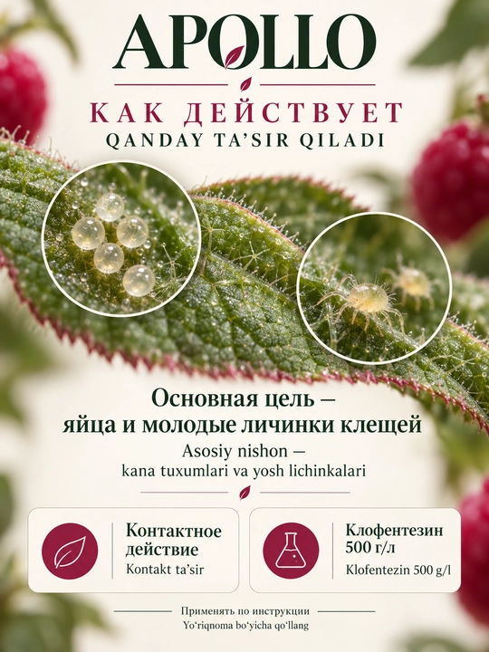 APOLLO ADAMA — акарицид против растительных клещей, клофентезин 500 г/л - 250ml