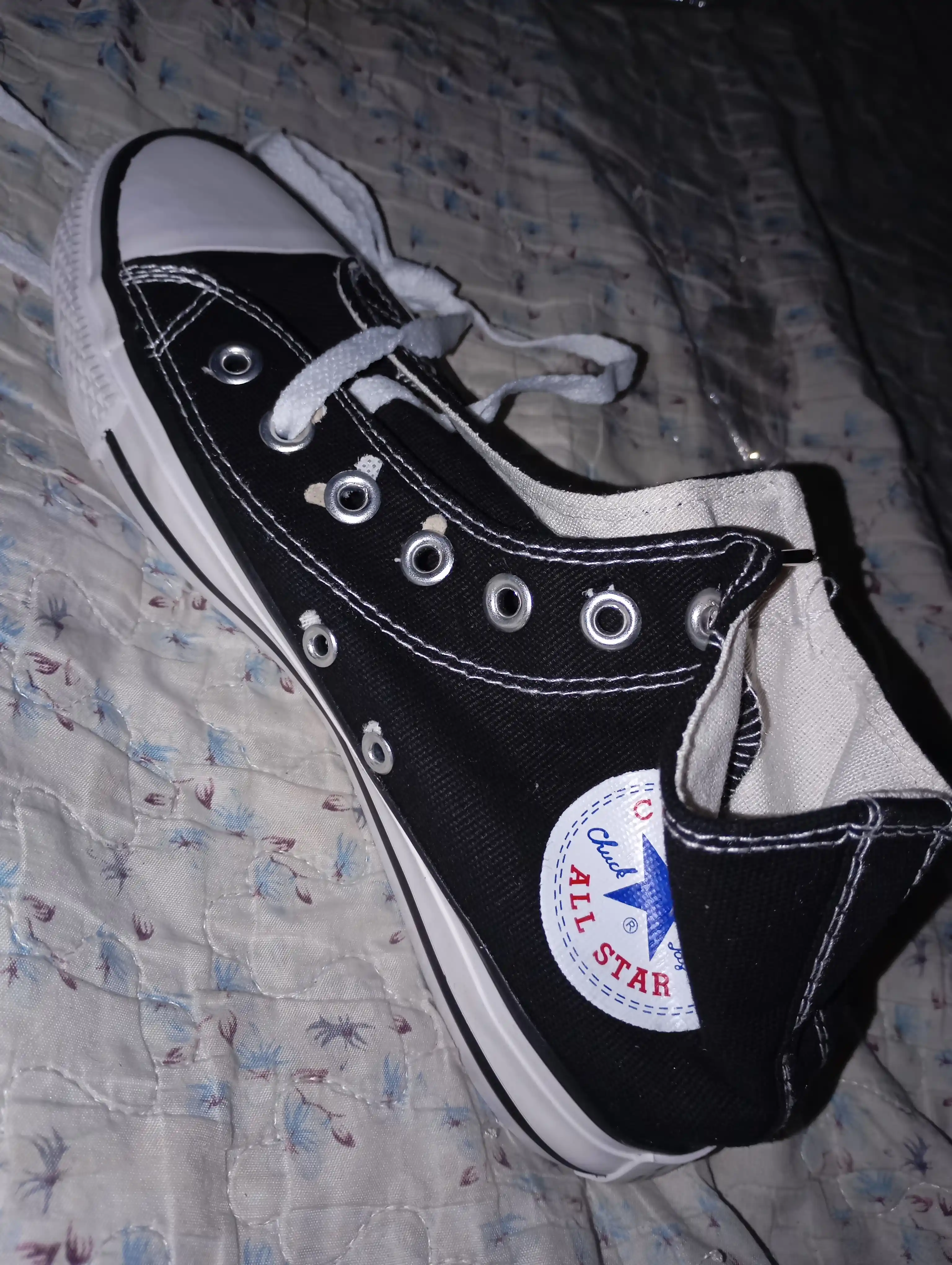 Kedalar Converse sport, yoz-kuz-bahor mavsumi uchun
