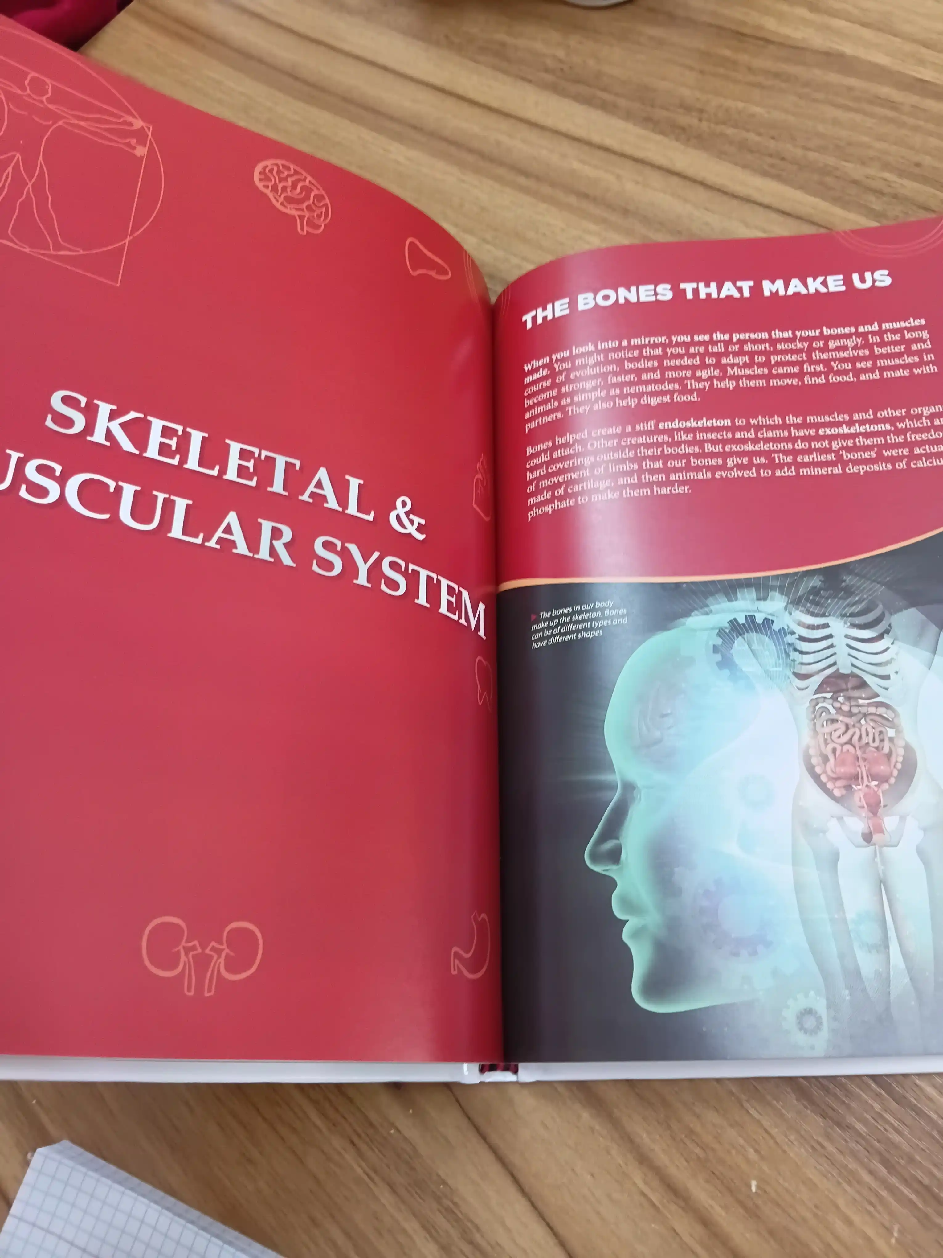 Knowledge Encyclopedia Animals, Inventions Discoveries, Human Body
