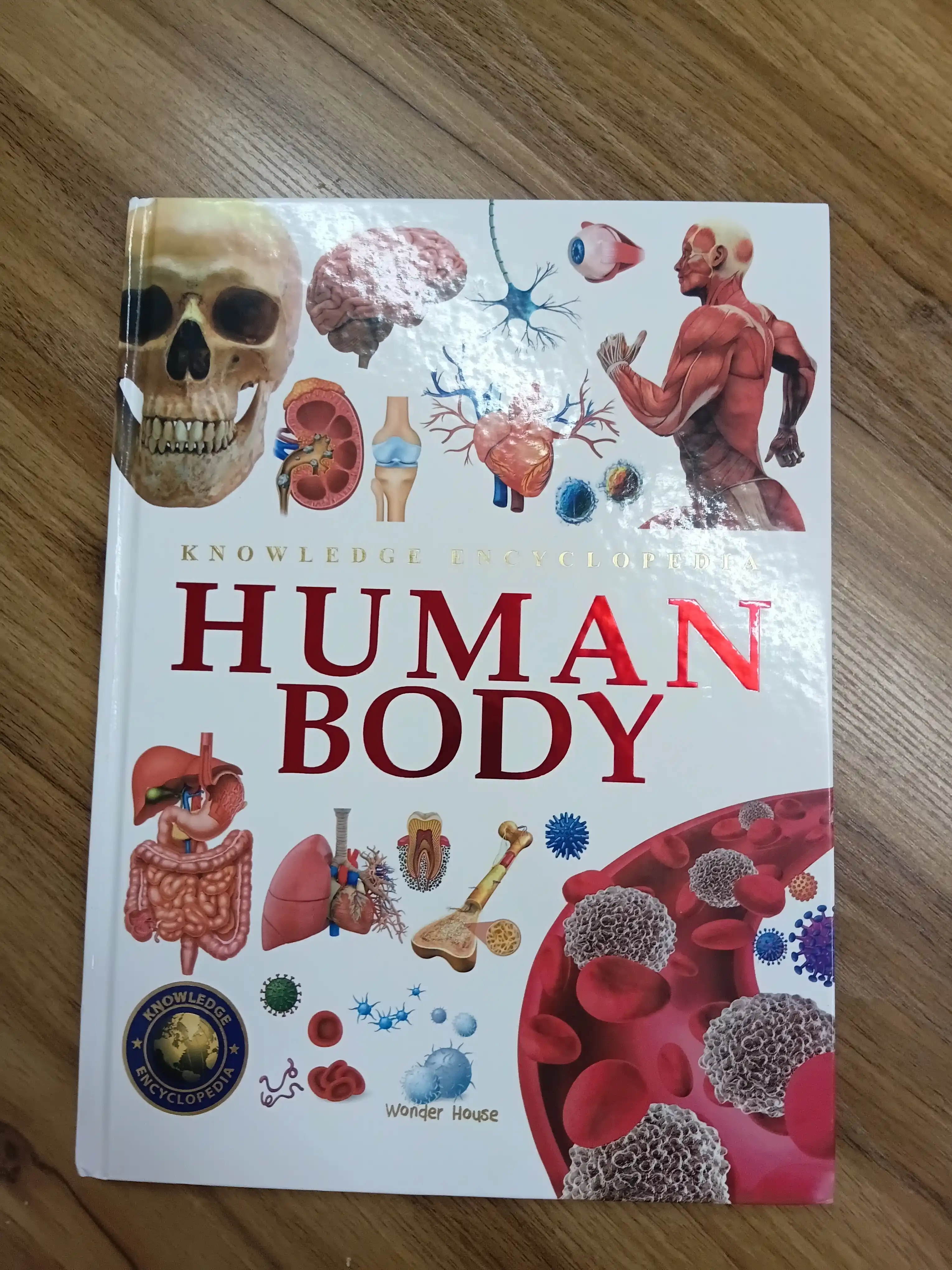 Knowledge Encyclopedia Animals, Inventions Discoveries, Human Body