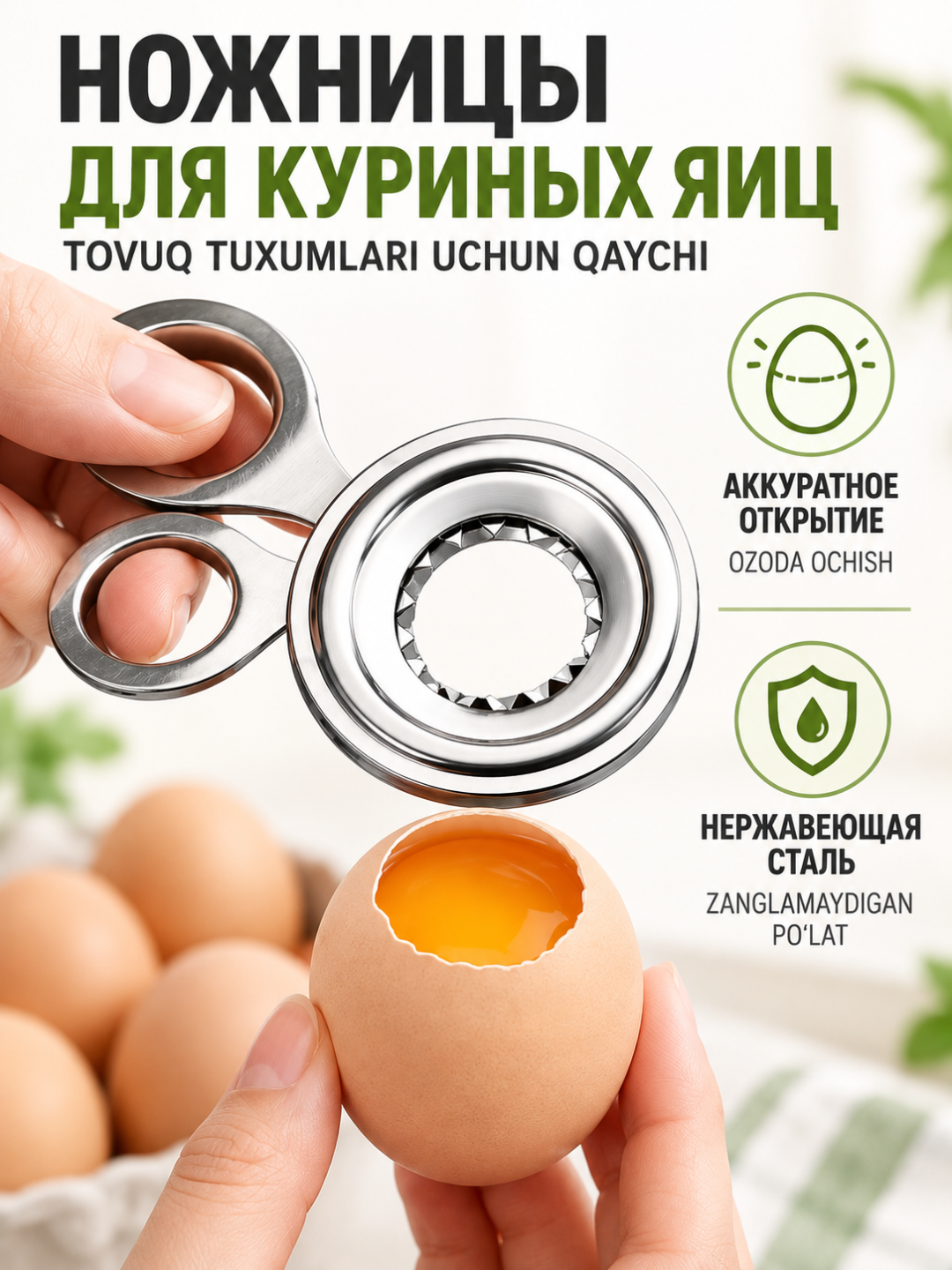 Tovuq tuxumi uchun qaychi-ochgich, po‘choqni tekis kesish uchun, zanglamaydigan po‘lat - 