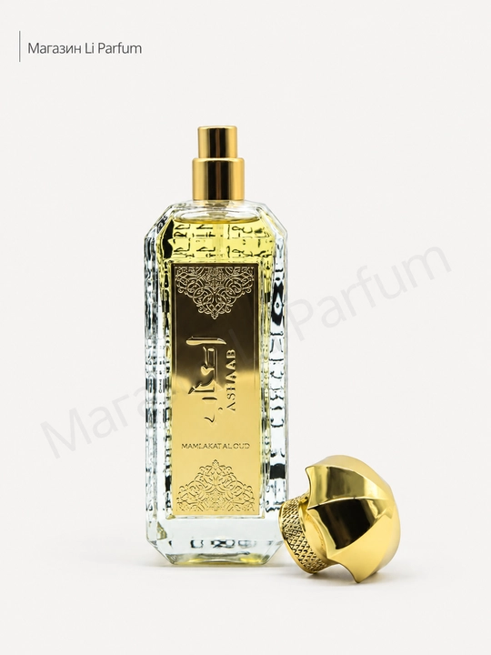 ASHAAB Mamlakat Al Oud parfyumlangan suv erkaklar uchun, 100 ml
