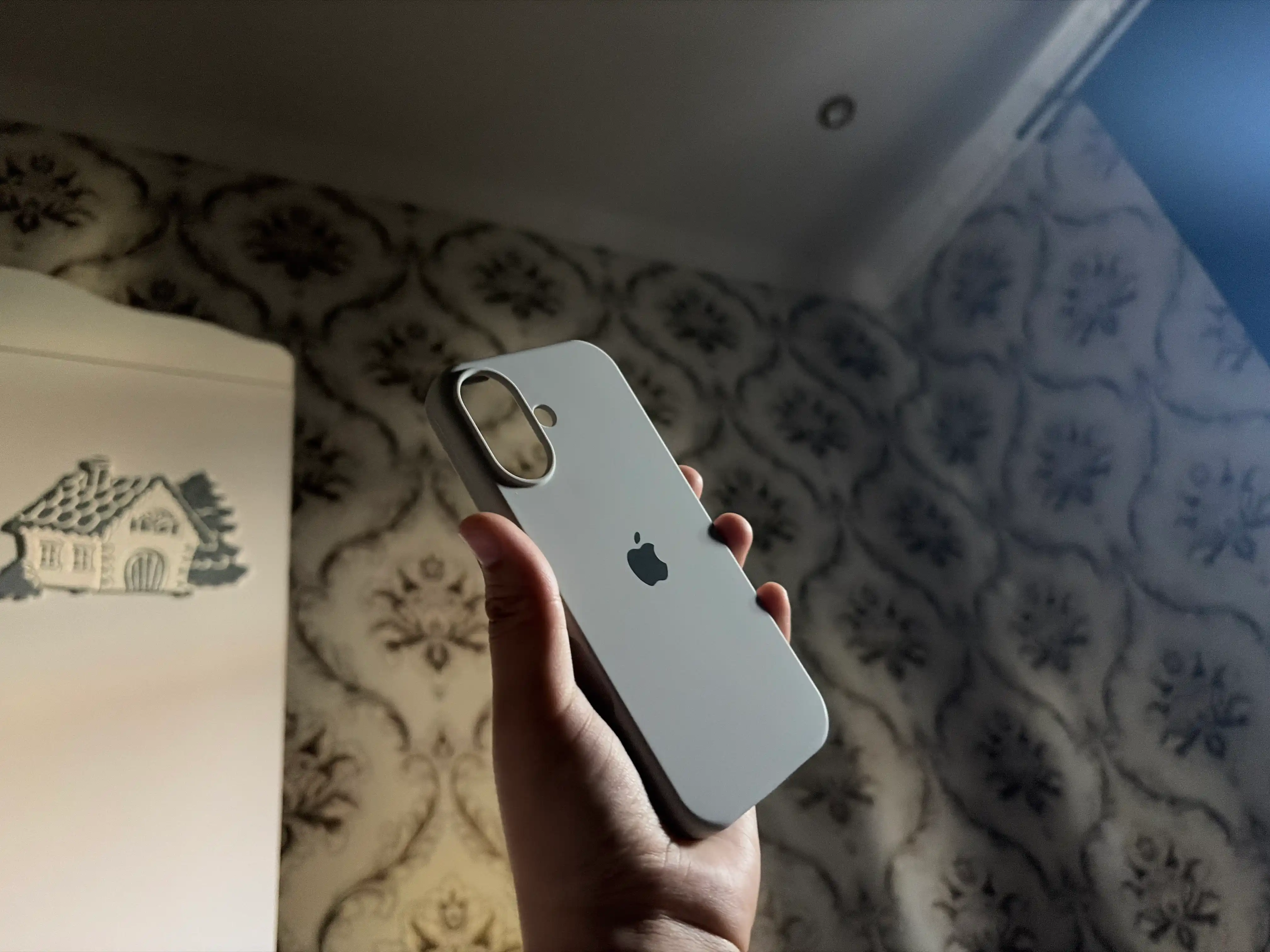Силиконовый чехол для iPhone 7, 8, SE, XR, XS, 11, 12, 13, 14, 15, 16, 17, Pro, Maх, Mini