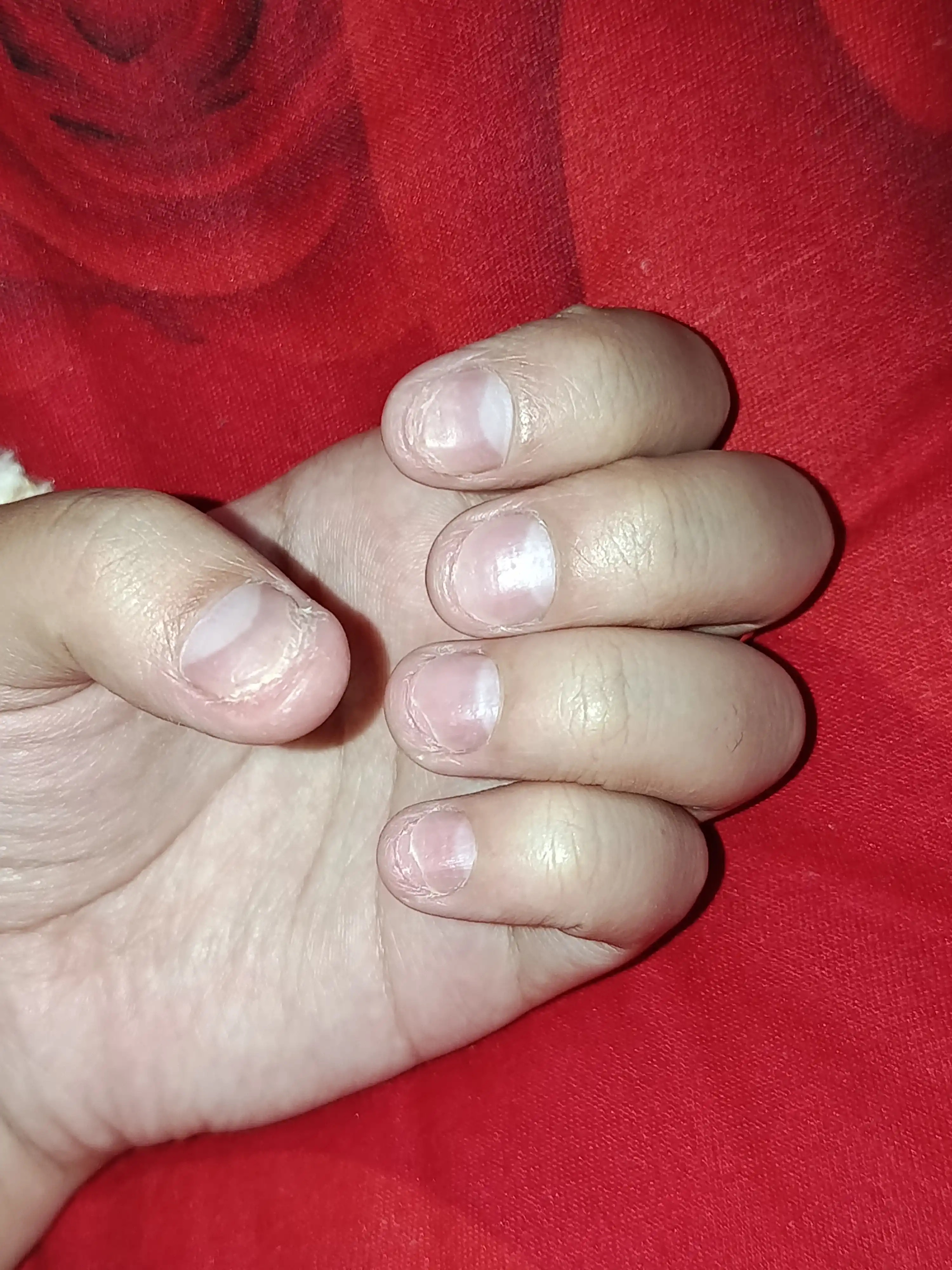Tirnoq, teri va sochlar uchun tabiiy AYA monarda ekstrakti, 30 ml, parvarishlash uchun