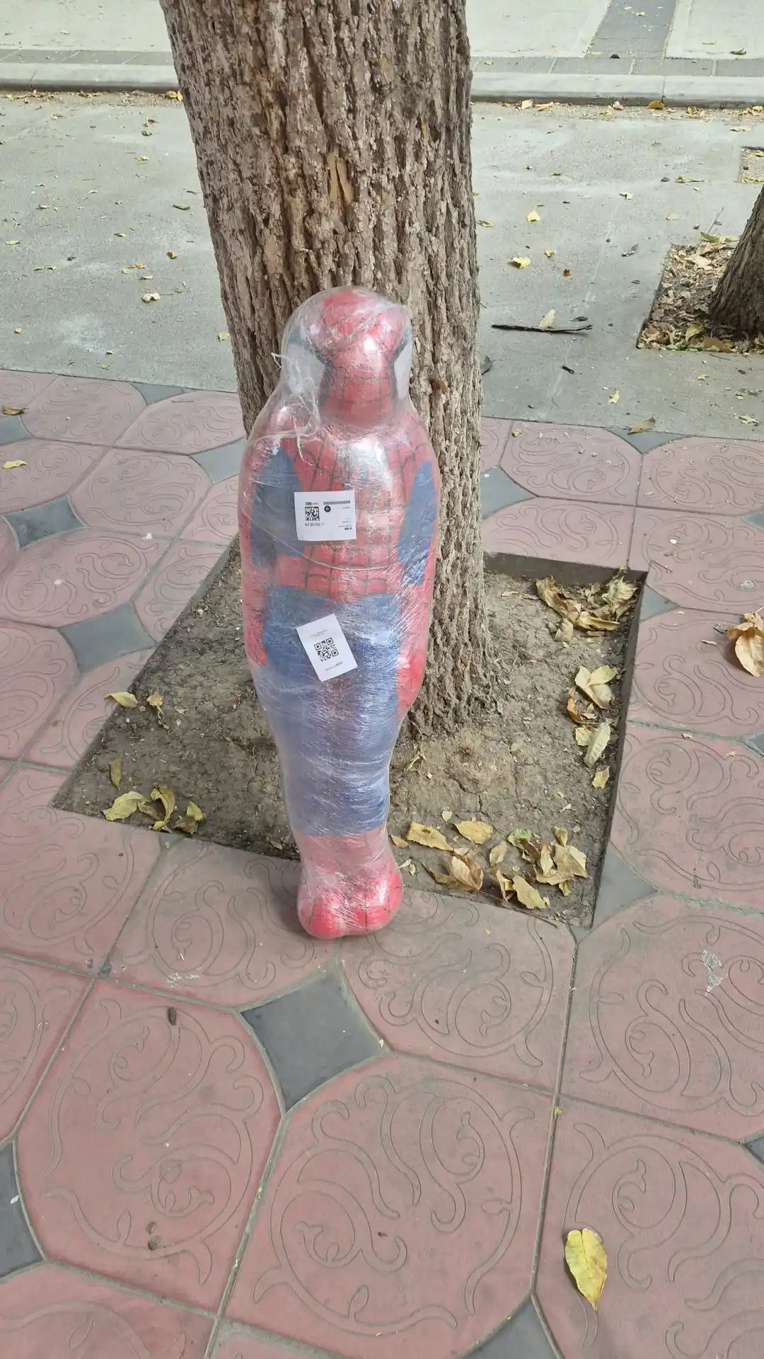О'rgimchak odam