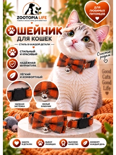 Оранжевый