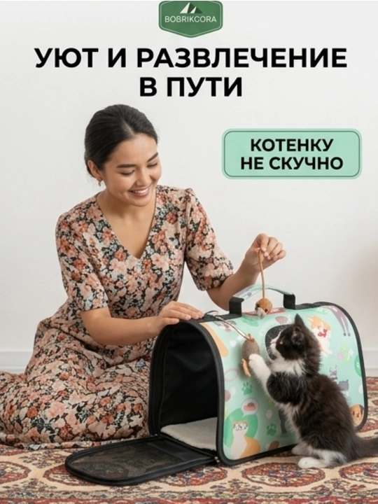 Mushuk va kuchuklar uchun sumka-tashima qattiq karkasli
