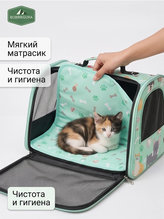 Mushuk va kuchuklar uchun sumka-tashima qattiq karkasli