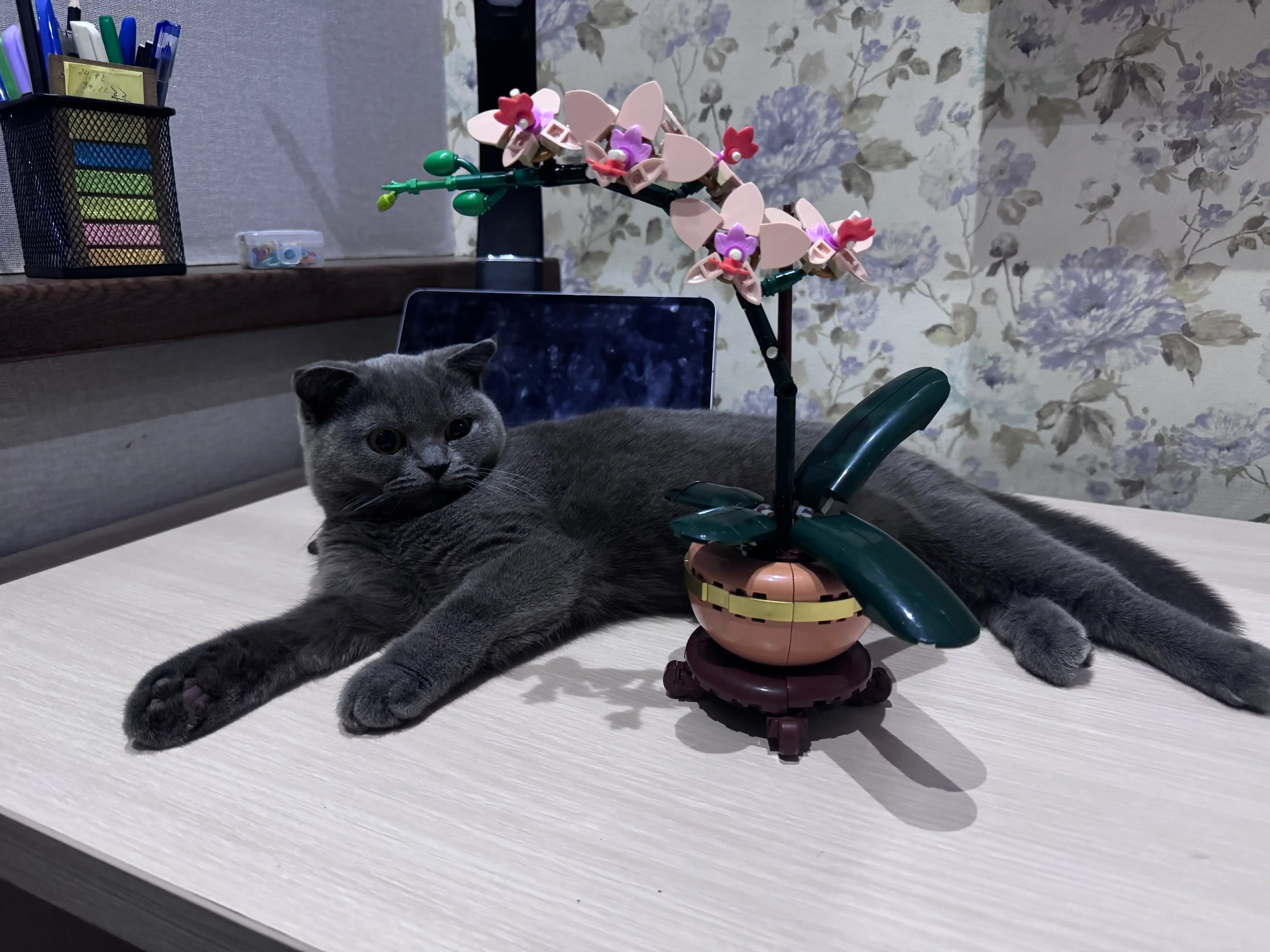 Сборный конструктор 3D цветы, букет роз, орхидея, совместим с лего, подарок сделай сам