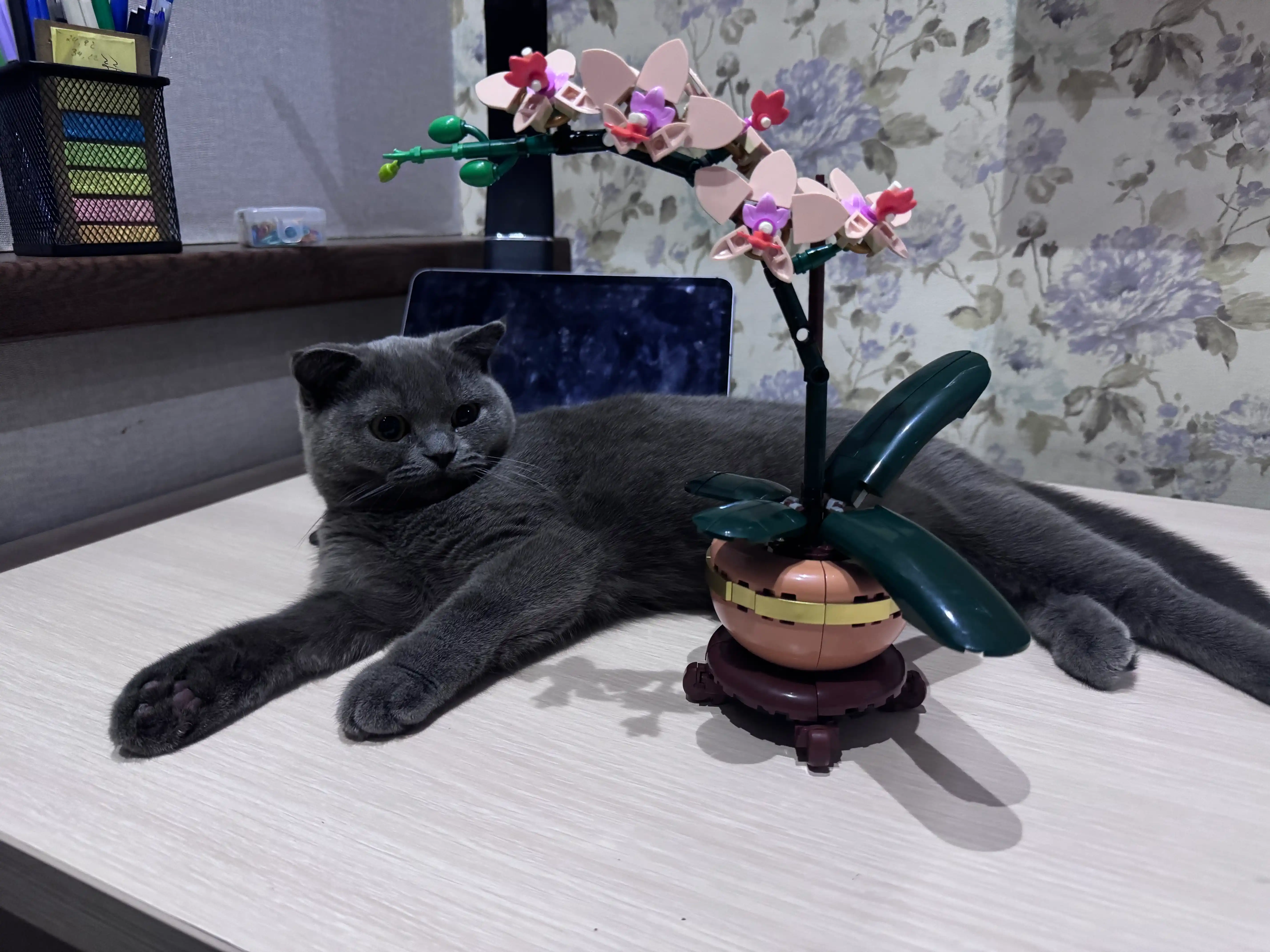 Сборный конструктор 3D цветы, букет роз, орхидея, совместим с лего, подарок сделай сам