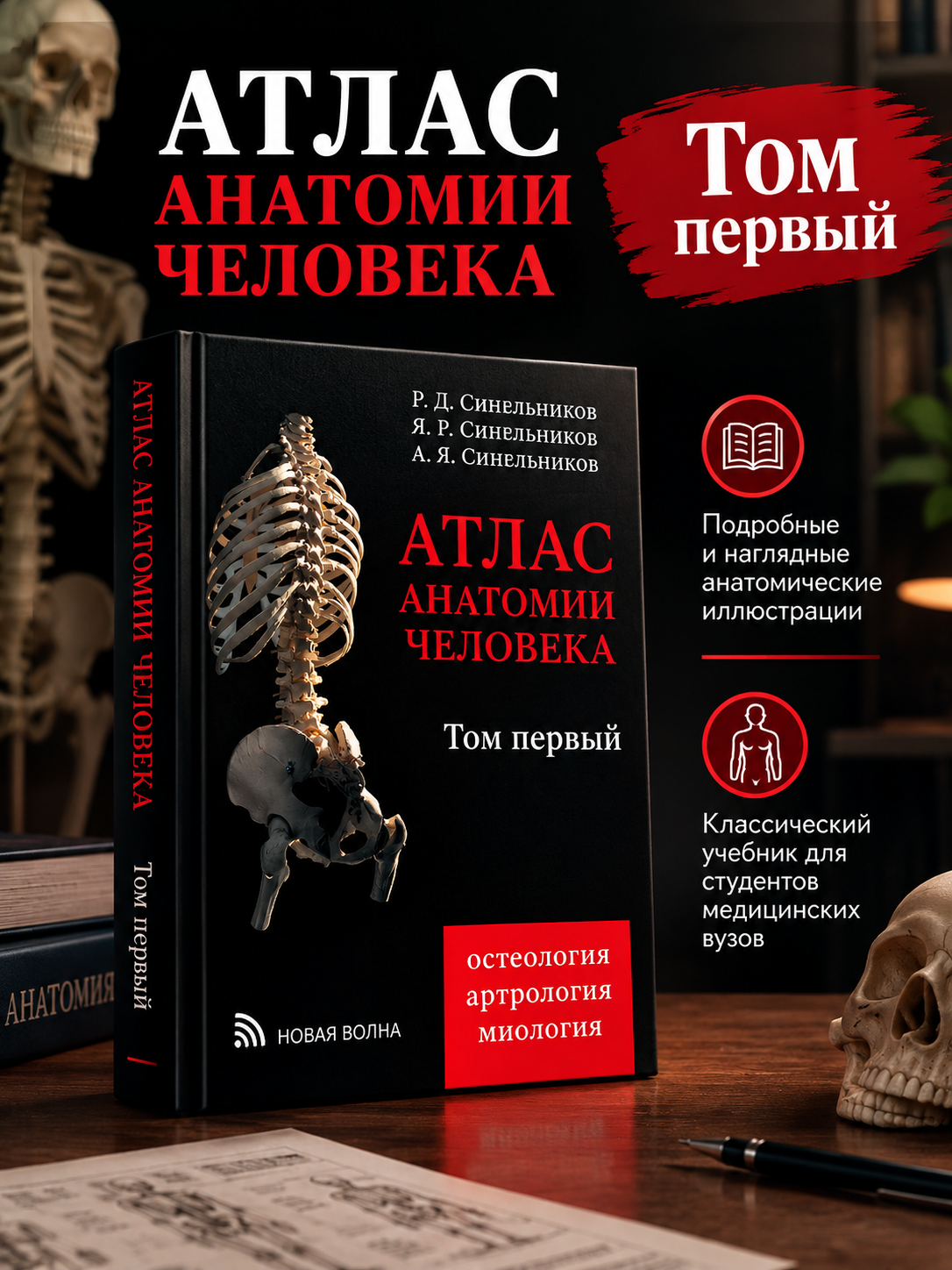 Атлас анатомии человека Тома 1, 2, 3, 4 комплект, Синельников, мягкий переплет - 