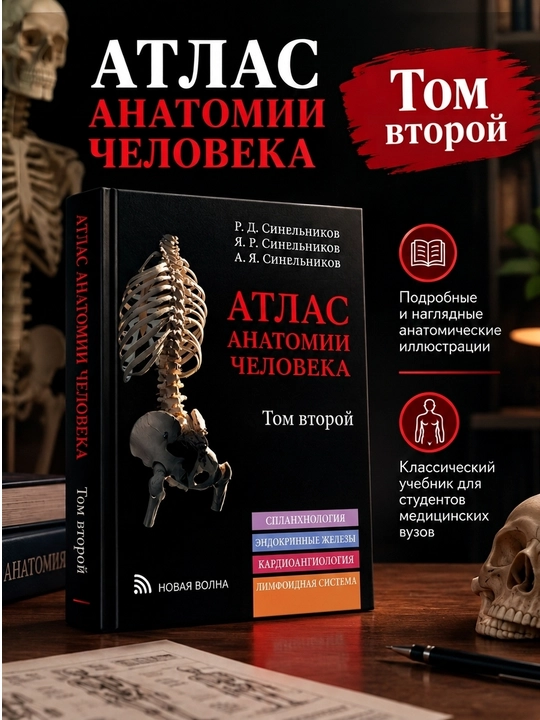 Атлас анатомии человека Тома 1, 2, 3, 4 комплект, Синельников, мягкий переплет - 