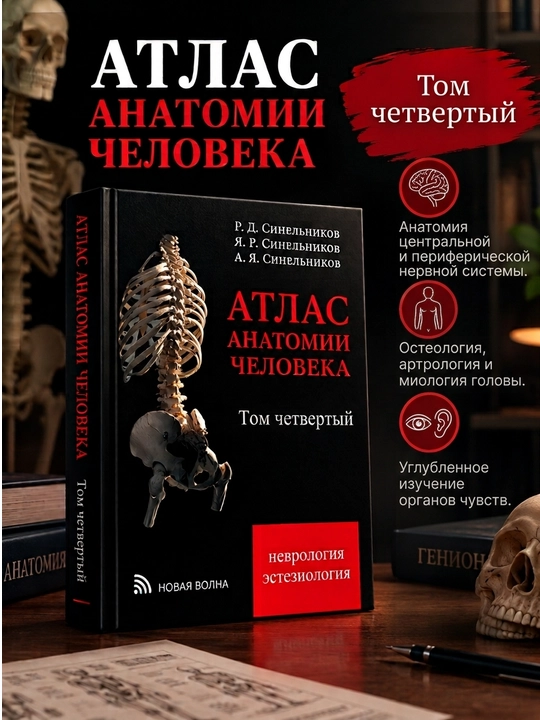 Атлас анатомии человека Тома 1, 2, 3, 4 комплект, Синельников, мягкий переплет - 